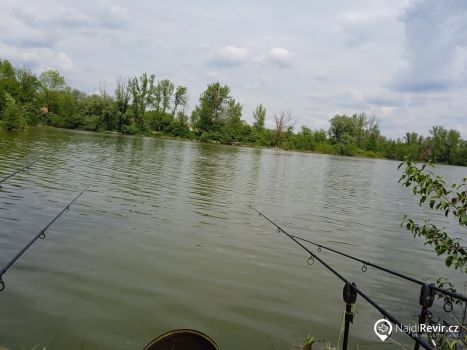 Piskač za sokolovnou 