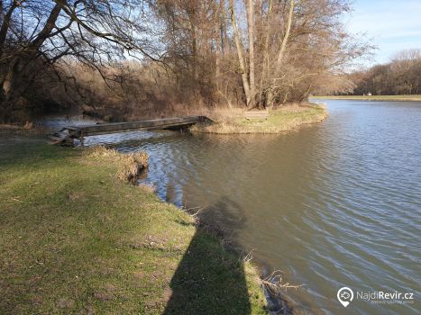 Odstavené rameno Tichá M4A a hlavní tok Moravy M5