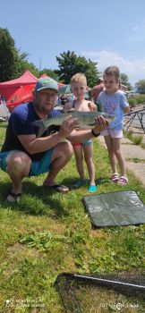 Jeden bolen dravý v horku přes den.