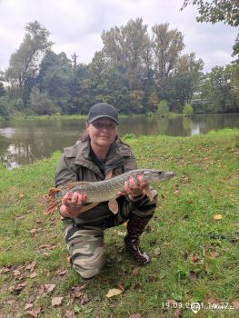 Podzimní vláčení.