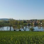 Sportovní rybolov Dolce