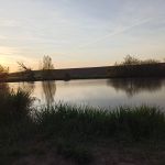 (1) Blažkovský rybník - Pod dvorem